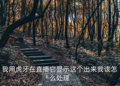 我用虎牙在直播它显示这个出来我该怎么处理