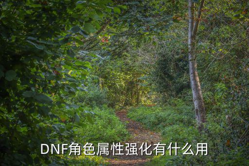 DNF角色属性强化有什么用