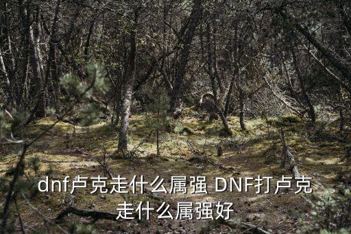 dnf卢克打什么属性好，dnf卢克走什么属强 DNF打卢克走什么属强好