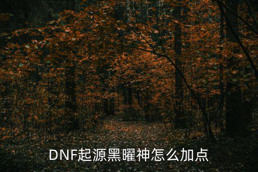 DNF起源黑曜神怎么加点