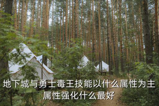 地下城与勇士毒王技能以什么属性为主属性强化什么最好