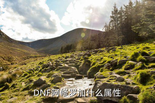 dnf修罗主加什么属性，阿修罗主加什么属性