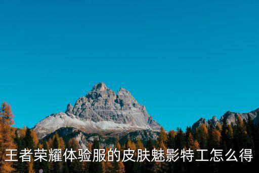 王者荣耀体验服的皮肤魅影特工怎么得