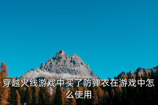 穿越火线手游防护服怎么用，穿越火线游戏中买了防弹衣在游戏中怎么使用
