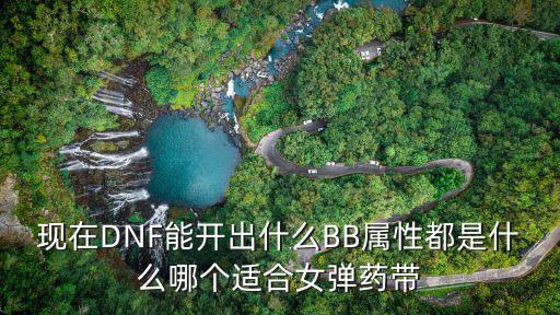 现在DNF能开出什么BB属性都是什么哪个适合女弹药带