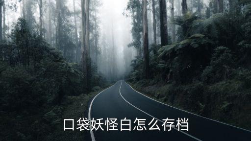 口袋妖怪白怎么存档