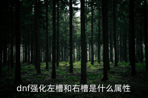 dnf强化左槽和右槽是什么属性