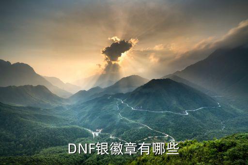 dnf白银徽章有什么属性，DNF缔造者的白银徽章这个怎么样非常感谢