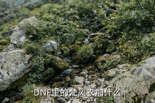 dnf梵风衣加什么属性，DNF梵风衣都加什么详细