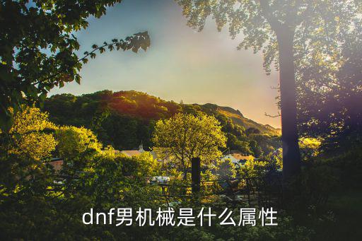 dnf男机械需要什么属性，dnf男机械是什么属性