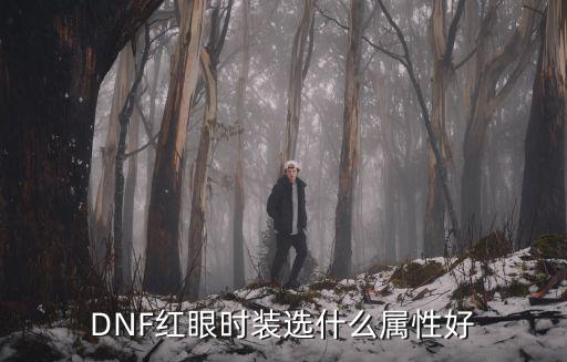 DNF红眼时装选什么属性好