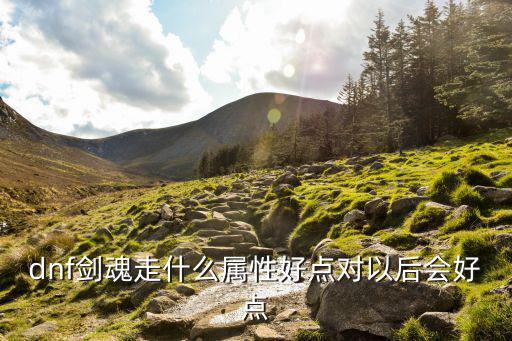 dnf剑魂走什么属性好点对以后会好点