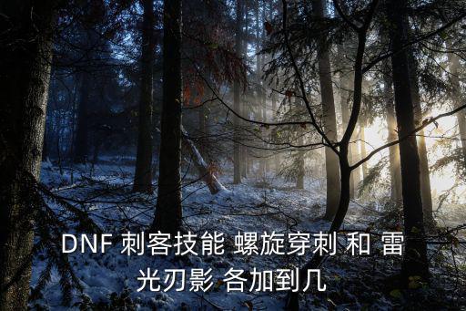 dnf刃影主要加什么属性，DNF斩影重甲腰带基本加什么属性