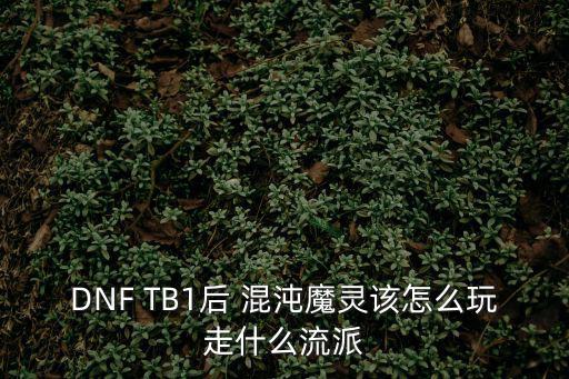 dnf混沌魔灵走什么属性，dnf混沌魔灵重甲精通都加什么属性