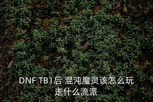 dnf混沌魔灵走什么属性，dnf混沌魔灵重甲精通都加什么属性