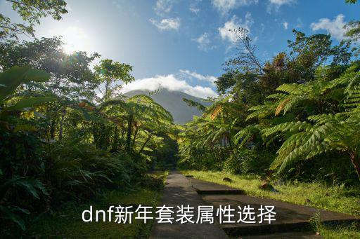 dnf关羽年套属性选什么，dnf新年套装属性选择