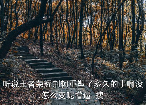 听说王者荣耀荆轲重塑了多久的事啊没怎么变呢懵逼 搜