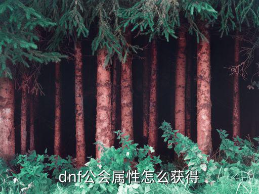 dnf公会属性怎么获得