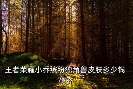 王者荣耀小乔缤纷独角兽皮肤多少钱 小乔