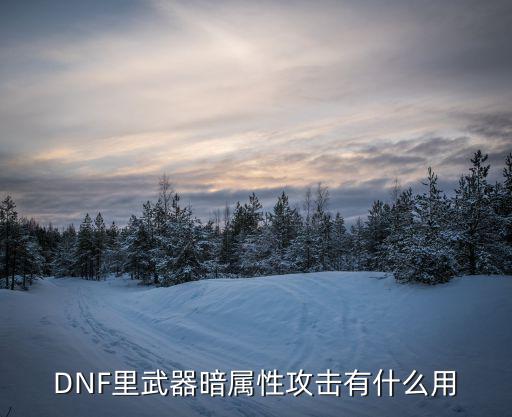 DNF里武器暗属性攻击有什么用