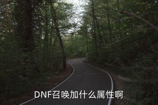 DNF召唤加什么属性啊