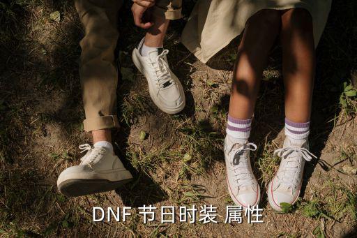 DNF 节日时装 属性