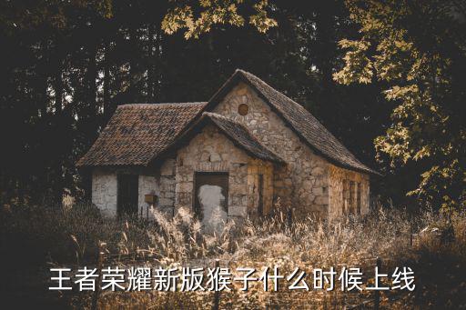 王者荣耀猴子新皮肤多久出，王者荣耀孙悟空皮肤什么时候出售
