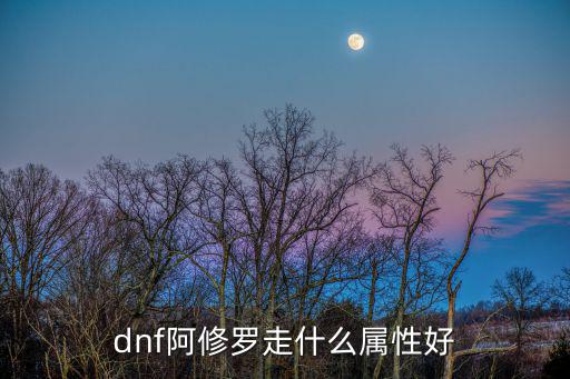 dnf阿修罗走什么属性好