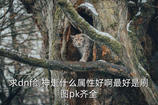求dnf剑神走什么属性好啊最好是刷图pk齐全