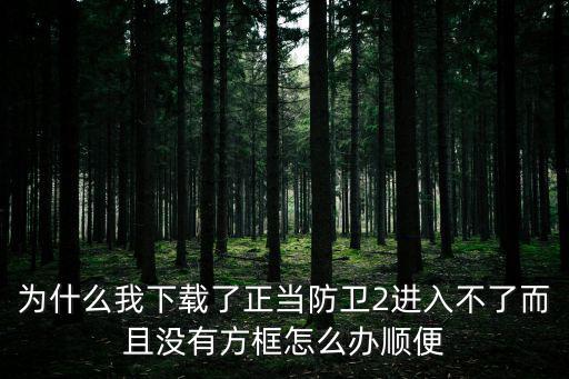 为什么我下载了正当防卫2进入不了而且没有方框怎么办顺便