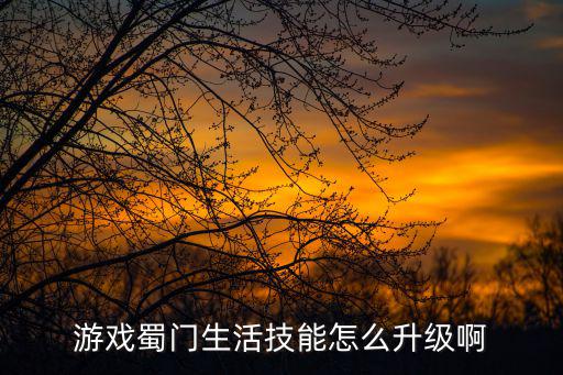 蜀门手游技能怎么升级，蜀门手游元神技能可以升级了吗