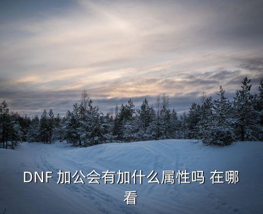 dnf 工会能加什么属性，DNF公会和师徒 能加什么属性吗