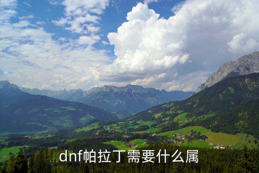 dnf帕拉丁需要什么属