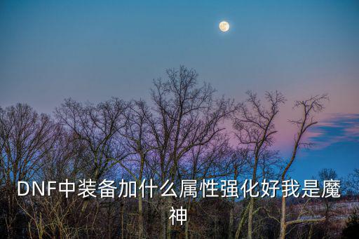 dnf用什么加属性强化，DNF中装备加什么属性强化好我是魔神