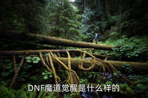 DNF魔道觉醒是什么样的