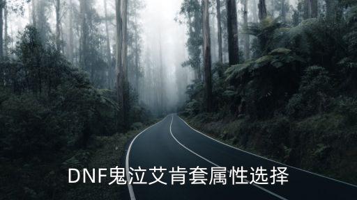 dnf鬼泣套选什么属性，DNF 鬼泣装备属性选择