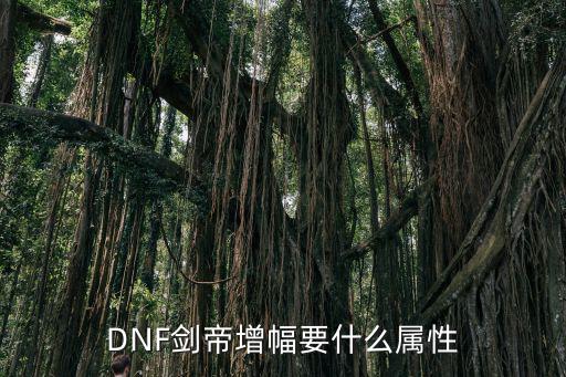 dnf剑帝什么属性最重要，剑帝增幅书选什么属性