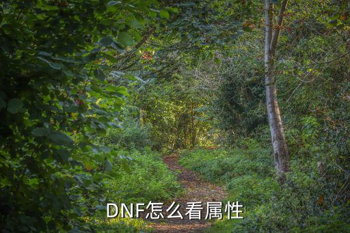 DNF怎么看属性