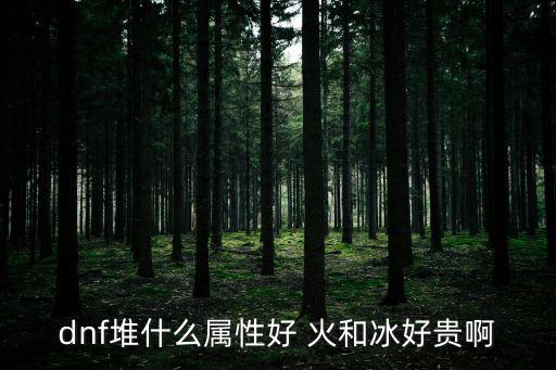 dnf堆什么属性好 火和冰好贵啊