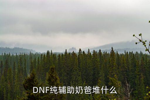 dnf辅助奶爸堆什么属性，DNF纯辅助奶爸堆什么