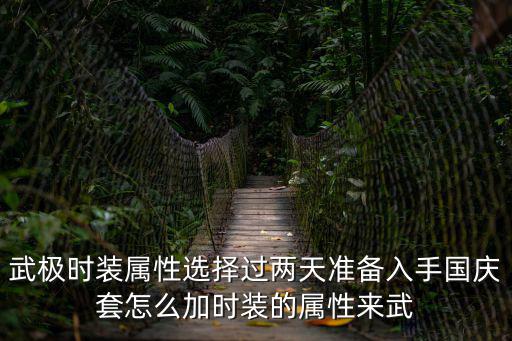 武极时装属性选择过两天准备入手国庆套怎么加时装的属性来武