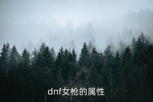dnf女枪的属性