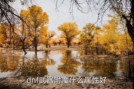 dnf剑魔附魔什么属性好，DNF的魔剑附上什么属性好