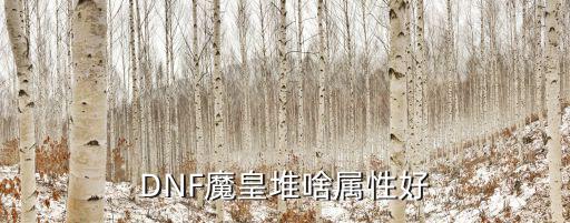 DNF魔皇堆啥属性好