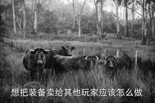 怎么卖游戏装备给主播玩，谁知道怎么卖装备