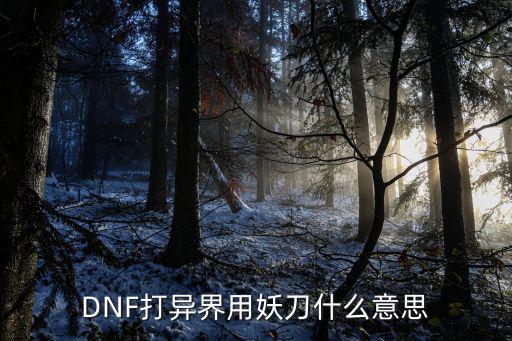 DNF打异界用妖刀什么意思