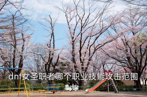dnf女圣职者选什么属性，dnf女圣职者哪个职业技能攻击范围大