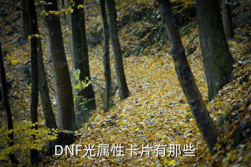 dnf有什么光属性卡牌，DNF光属性卡片有那些