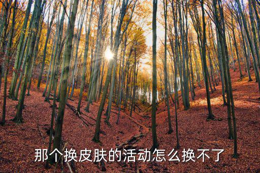 那个换皮肤的活动怎么换不了