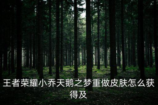 王者荣耀小乔天鹅之梦重做皮肤怎么获得及